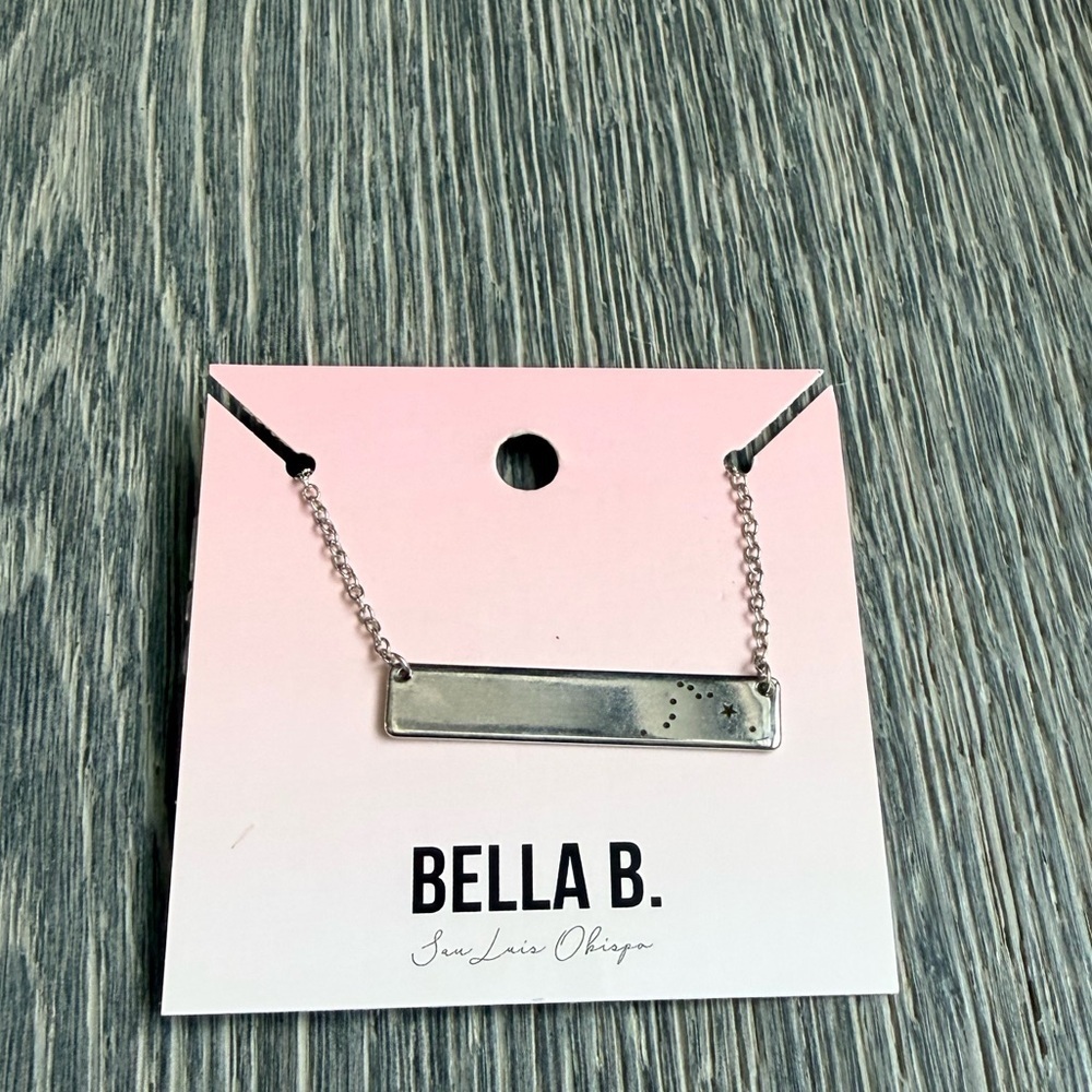 Aquarius Zodiac Constellation Bar Necklace in Silver